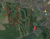Elemore Bird Locations Map