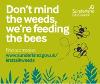 Let's Talk Weeds