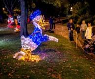 fol fol22