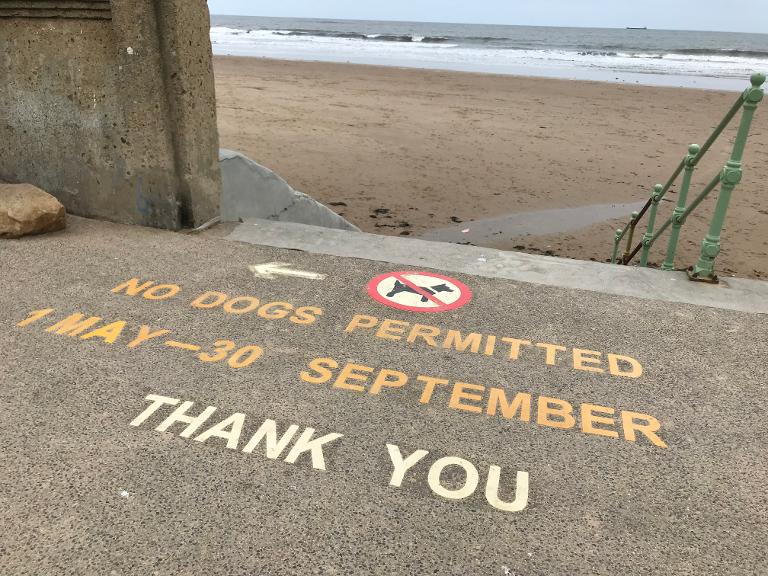 Dog exclusion signage - Seaburn Beach Dog exclusion signage - Seaburn Beach