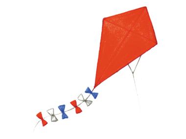 Kite