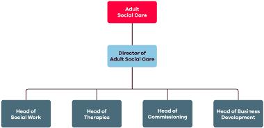 Adult social care team