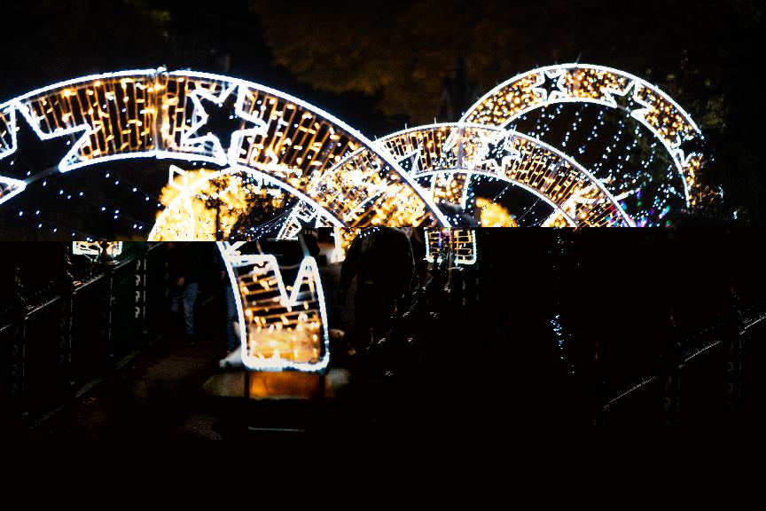 Festival of Light image for 2024