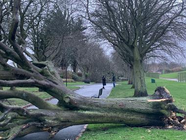 Storm image for risk register