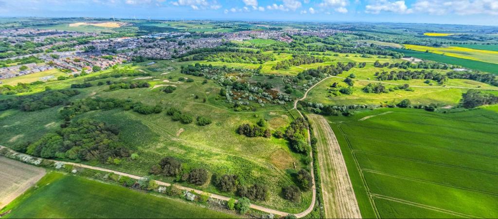 Elemore Country Park drone pic