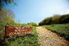 Hetton Bogs Nature Reserve