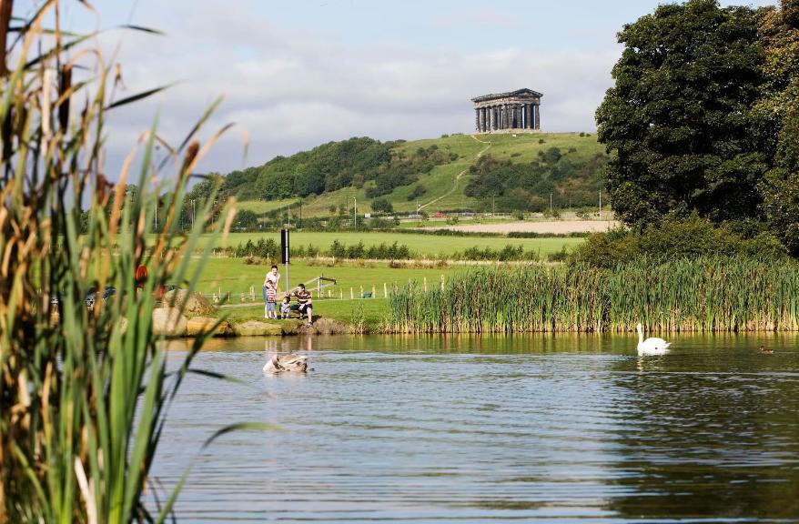 Herrington Country Park